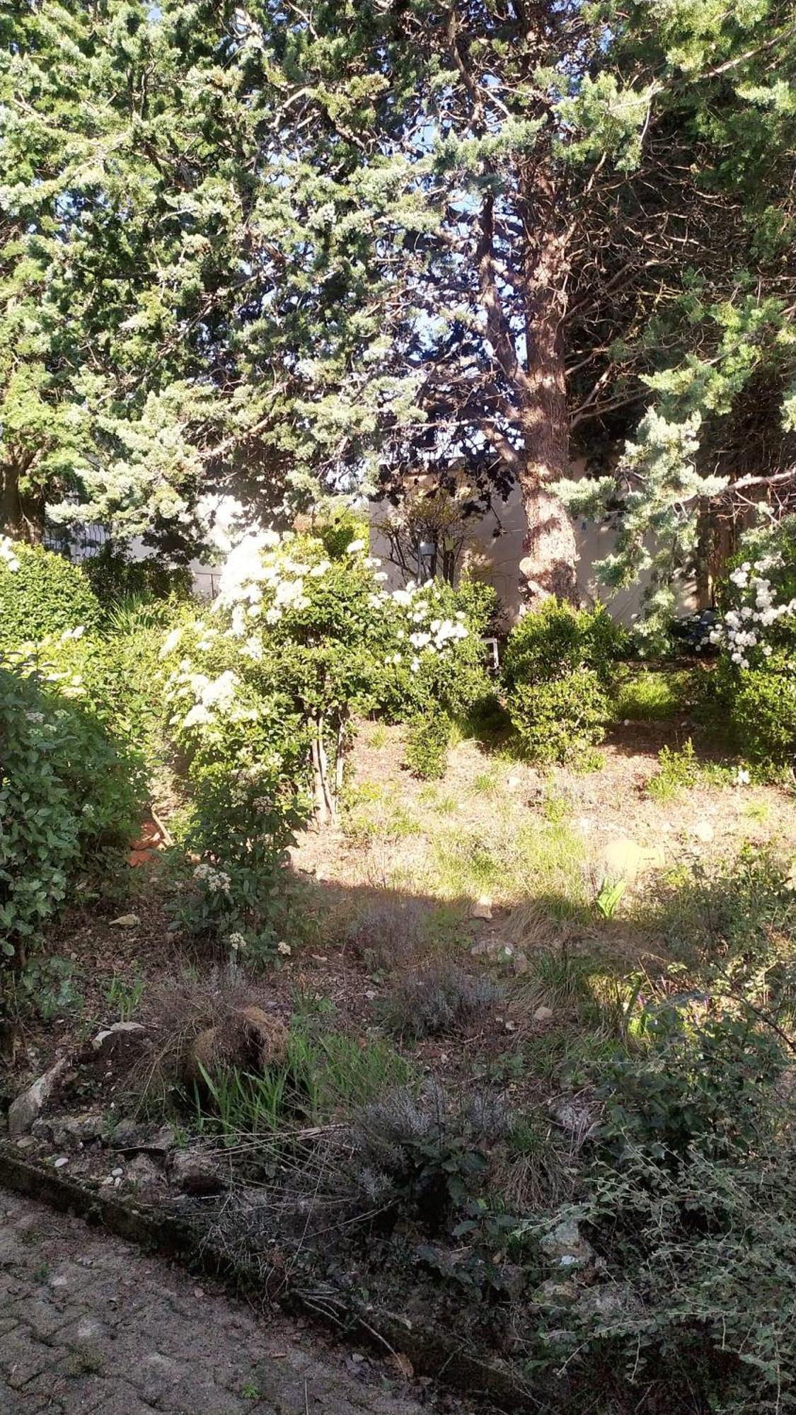 Maison Paisible A Veyras Avec Piscine Privee Et Vue Montagne Exteriör bild